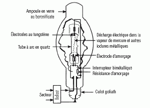 Coupe d'une lampe à arc électrique.